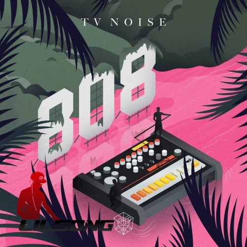 TV Noise - 808