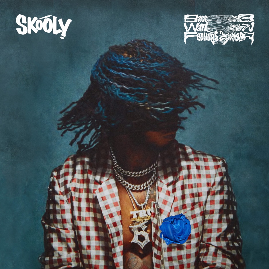 Skooly - BAcCWArdFeELiNgS