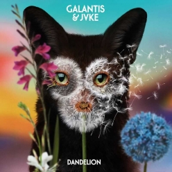 Galantis ft. Jvke - Dandelion