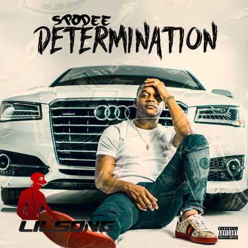 Spodee - Determination