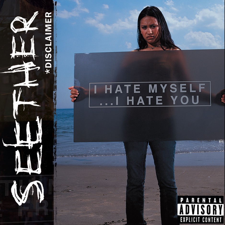 Seether - Disclaimer