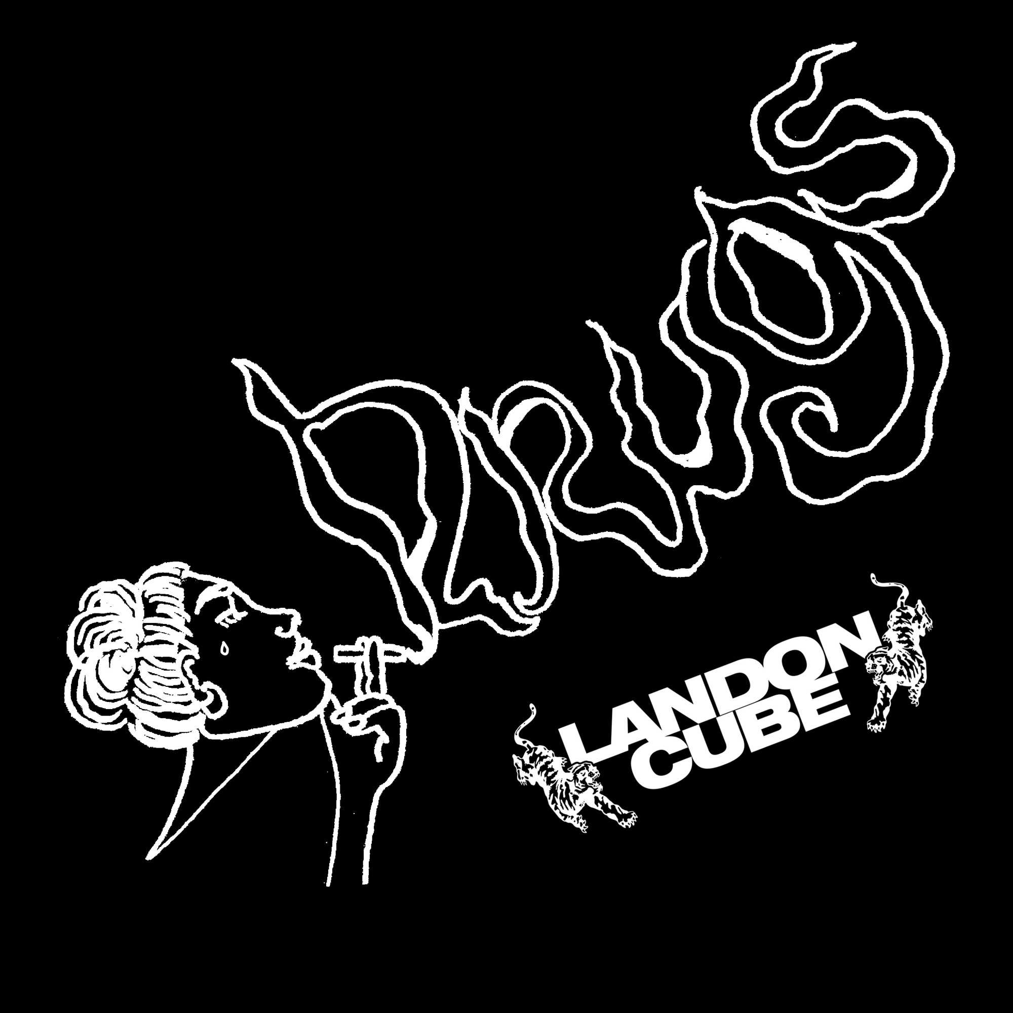 Landon Cube - Drugs