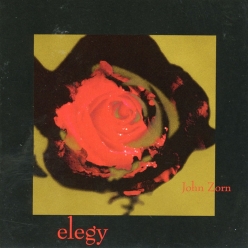 John Zorn - Elegy