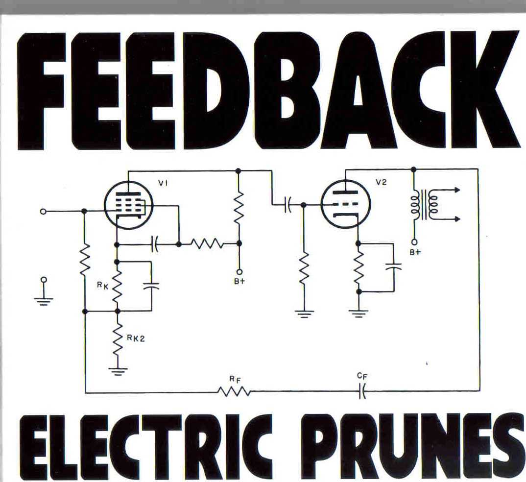 The Electric Prunes - Feedback