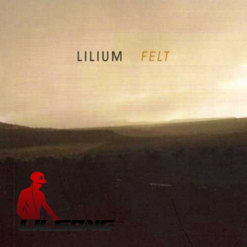 Lilium - Felt