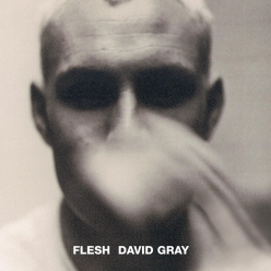David Gray - Fleshs