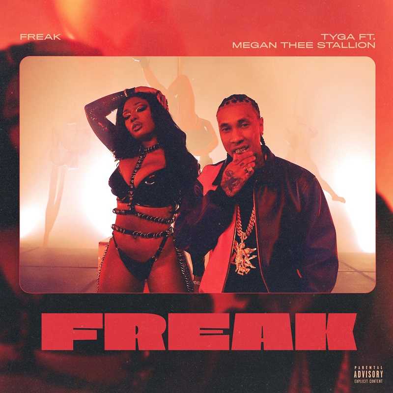 Tyga & Megan Thee Stallion - Freak