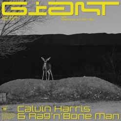 Calvin Harris Ft. Rag n Bone Man - Giant