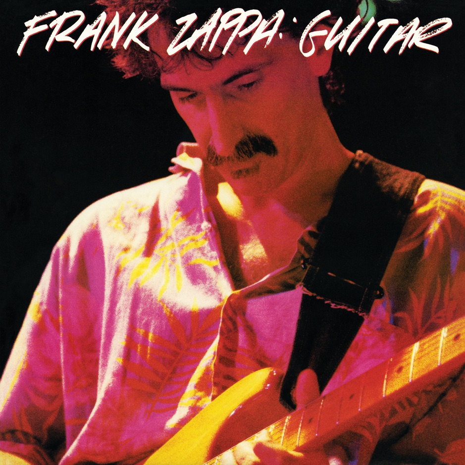 Frank Zappa - Guitar