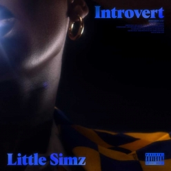 Lil Simz - Introvert