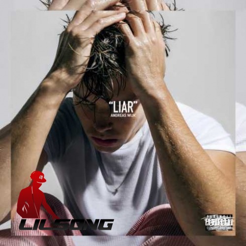 Andreas Wijk - Liar