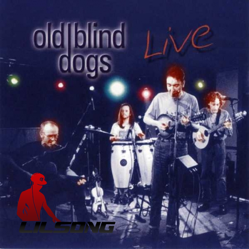 Old Blind Dogs - Live