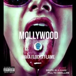 Waka Flocka - Mollywood
