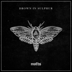 Drown In Sulphur - Moths