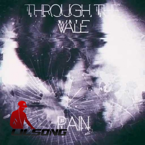 Through The Vale - Pain