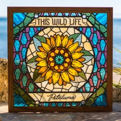 This Wild Life - Hold You Here