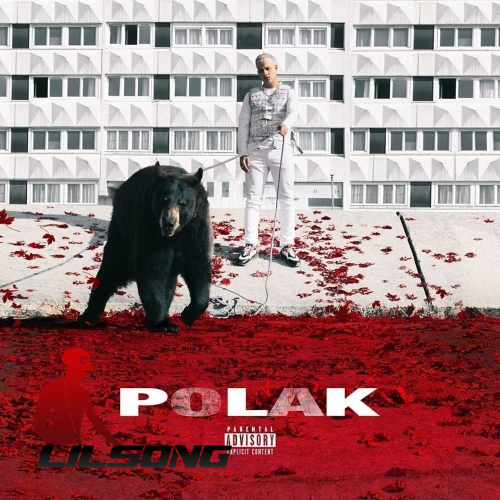 Plk - Polak