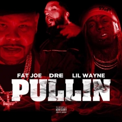Fat Joe, Dre & Lil Wayne - Pullin