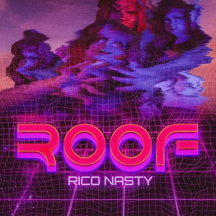 Rico Nasty - Roof