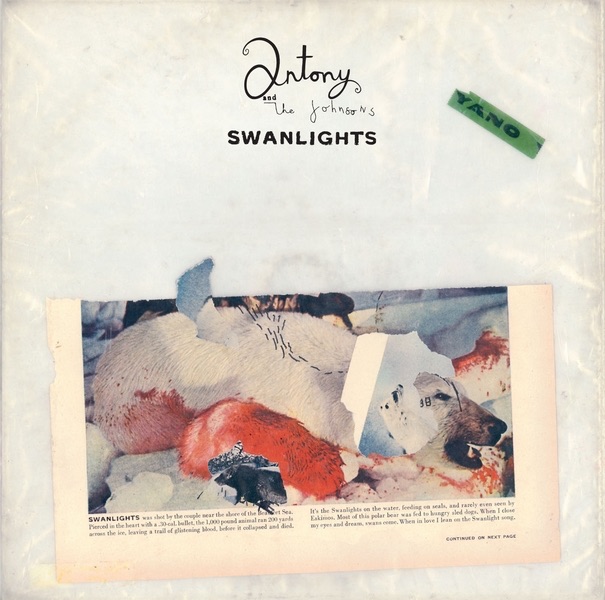 Antony and the Johnsons - Swanlights