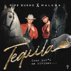 Pipe Bueno ft. Maluma - Tequila
