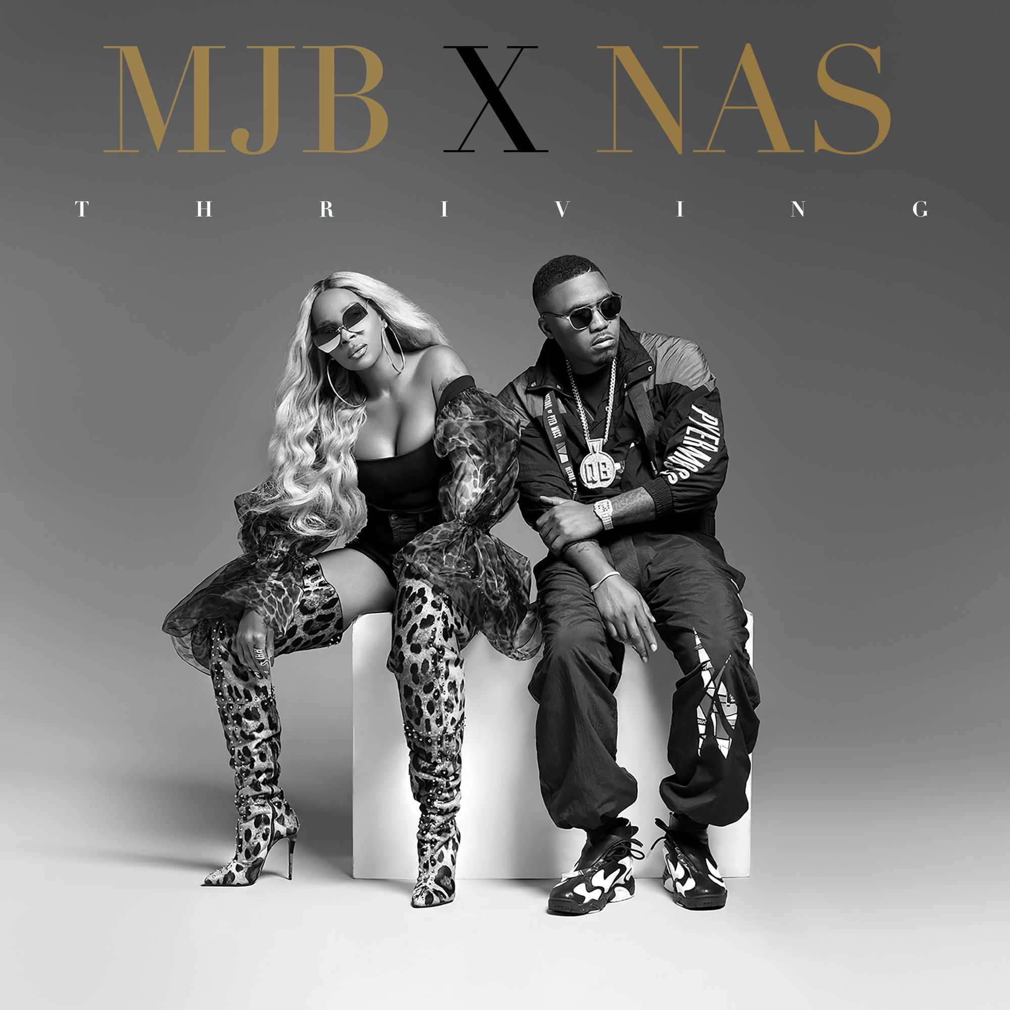 Mary J. Blige Ft. Nas - Thriving