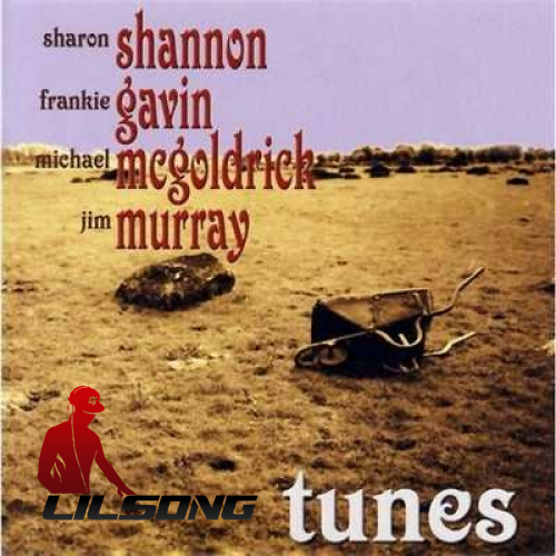 Sharon Shannon, Frankie Gavin, Michael McGoldrick & Jim Murray - Tunes