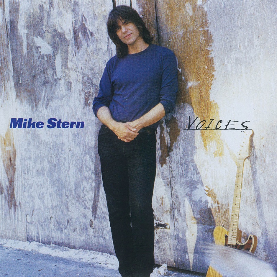 Mike Stern - Voices