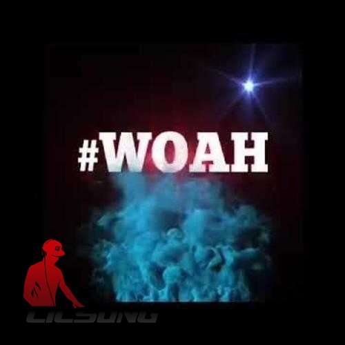 Bow Wow Ft. Diddy - WOAH