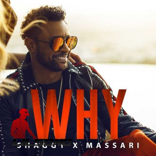 Shaggy & Massari - Why