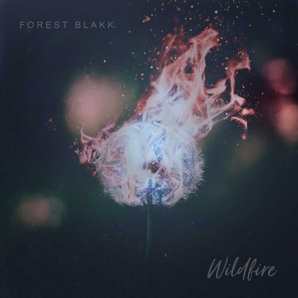 Forest Blakk - Wildfire