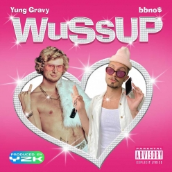 bbnos ft. Yung Gravy - Wussup